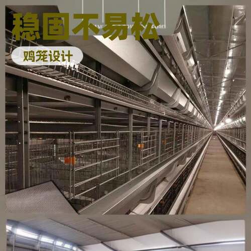 结构稳定多层鸡笼不易松动养殖笼自动化蛋鸡养殖机械养鸡笼