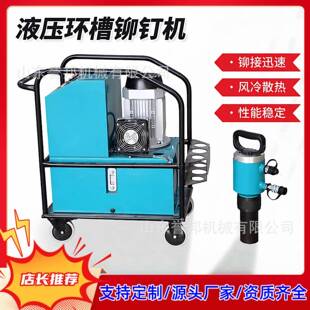 20型环槽铆钉机电动液压环槽铆C钉枪振动筛集装箱铆钉机哈克铆钉