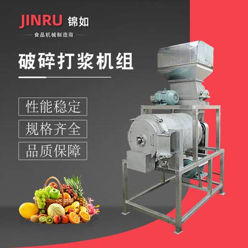 破碎打浆机组商用果蔬榨汁加工设备大型冲浪洗果机