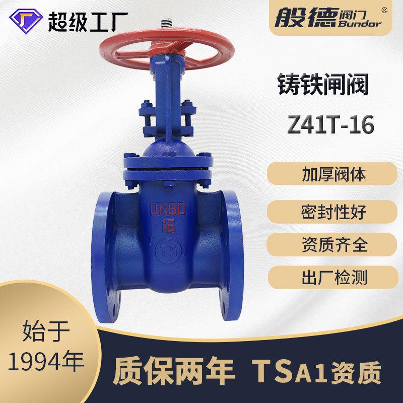 铸铁闸阀Z41T-10明杆铜密封法兰闸板阀水用手动开关阀排污用DN100