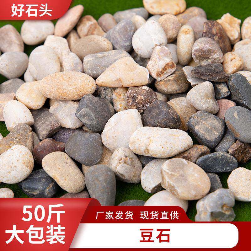 豆石天然鹅卵石家装回填地暖鱼缸布景石头沼泽过滤石滤料石材沙石