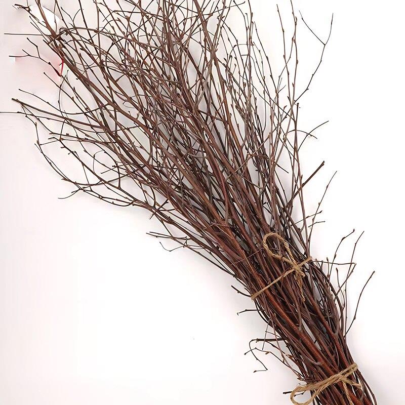 天然桦树枝花瓶插花摆件枝干枝分叉枝DIY材料客厅室内家居