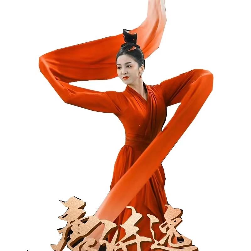 正品2色02年春晚唐3袖诗逸同款舞蹈服古典舞满庭芳国演出服女独舞