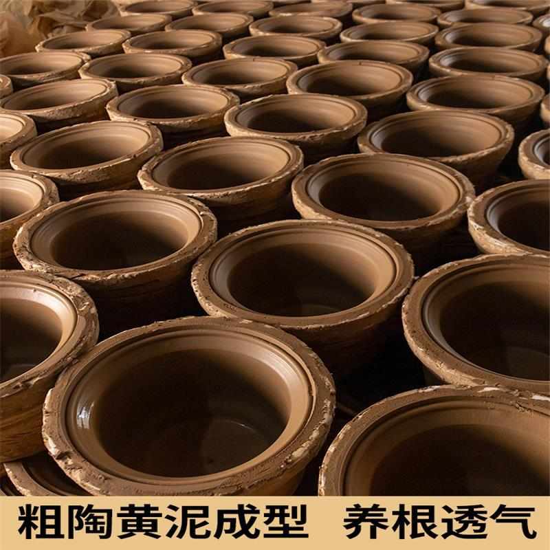 家用紫砂陶瓷花盆陶瓷盆特大号陶土栽花花盆粗陶落地盆景兰花盆