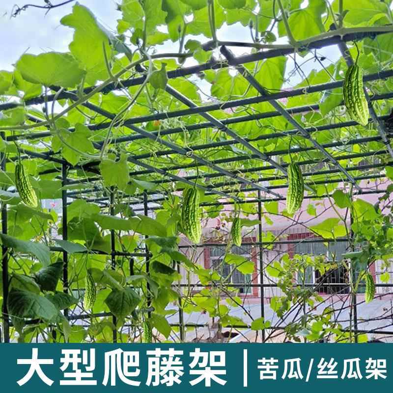 苦瓜架葡萄架子葫芦爬藤架奇异果藤架丝瓜百香果庭院户外支架牵引