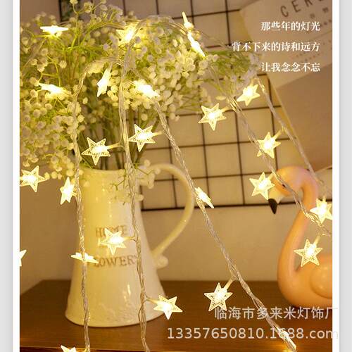 50M 100M Christmas Lights Decorative Garland LED String 110V