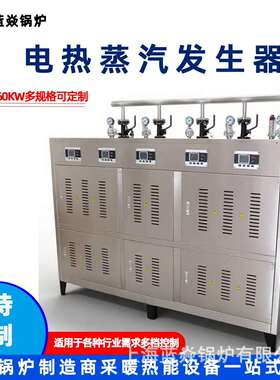 节能环保72W电加蒸汽锅炉器 全自K动电蒸汽发生 热可TVM调功率