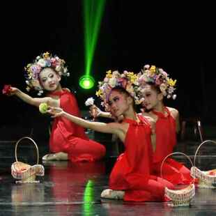 正品簪花儿入梦舞蹈舞服儿童典舞演出服花篮舞蹈道具女童古少群表