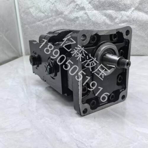 CASAPPA凯斯帕双联齿轮泵KP30.24KP30.2730.29KP30.34KP30.38