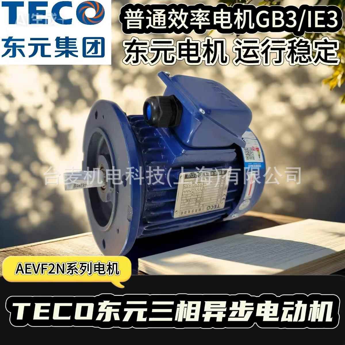 TEC0电机AEVF2N立式电机AEEF2N卧式电机GB3/IE3-3级能效电机