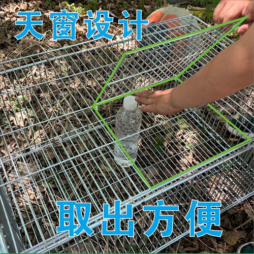 鸽子笼自动门屋顶鸽子活络鸟窝