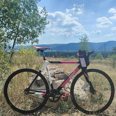 Lexon LUST死飞单车架 固齿自行车架竞速场地破风男女Fixed Gear