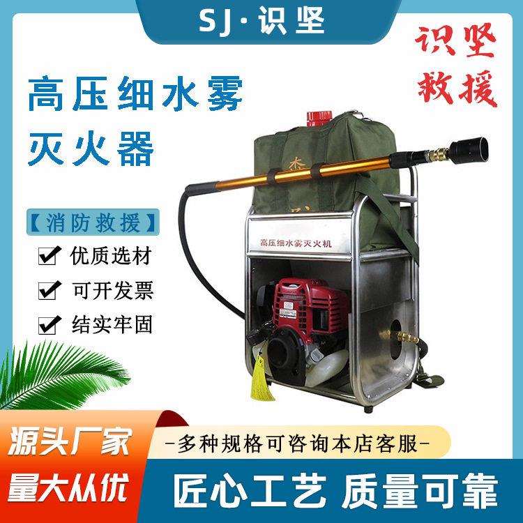 背负式装置气压脉冲水枪22L水袋压细水雾灭火器便携式灭火枪