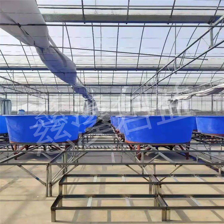 小龙虾塑料养殖桶鲈鱼养殖桶3米直径圆锥形水产养殖池