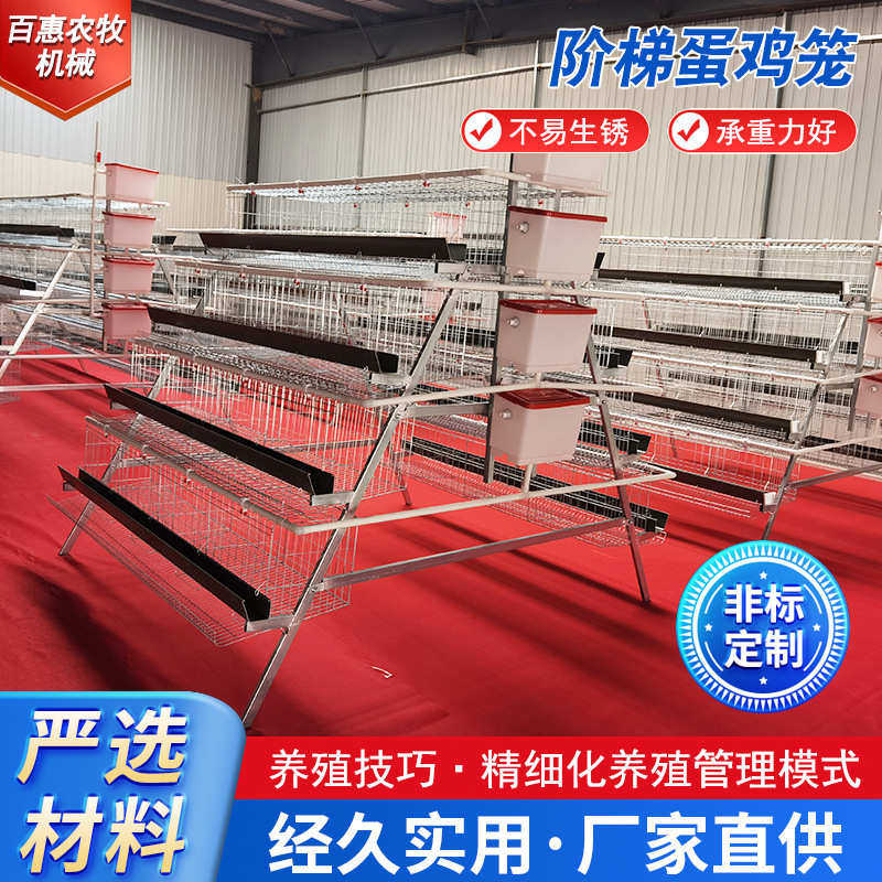 多层阶梯式蛋鸡笼 鸡笼子加粗 蛋鸡笼阶梯式鸡养殖笼具生产厂家