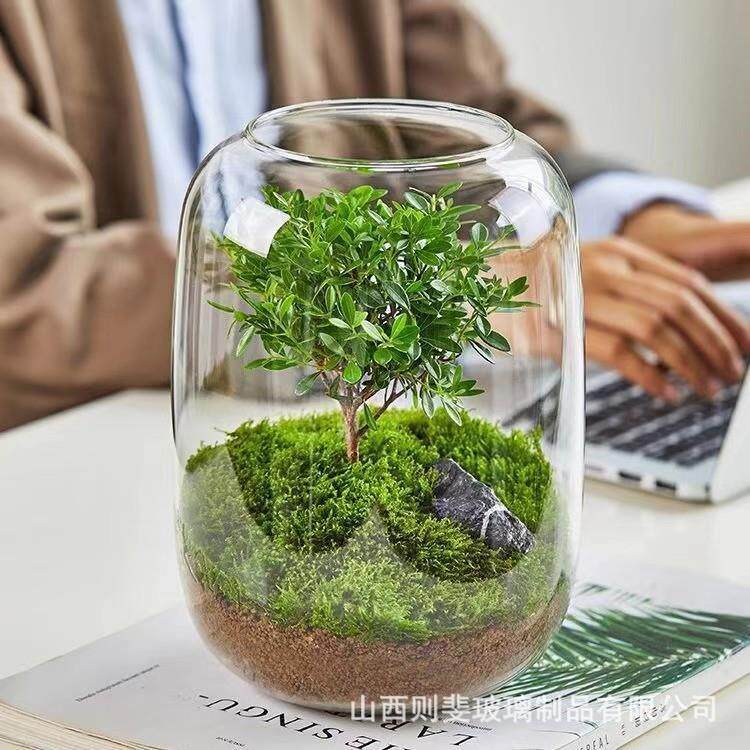 创意桌面苔藓微景观造景全套成品玻璃容器盆景鲜活生态瓶盆栽鱼缸