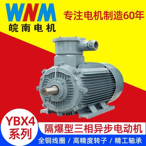 安徽皖南YBX4系列 防爆型三相异步电机380V 二级能效 全铜线圈
