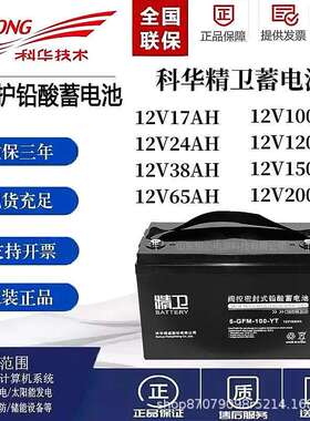 科华精卫蓄电池6-GFM-100-YT/12V100AH/12V65AH/12V38AH/12V24AH