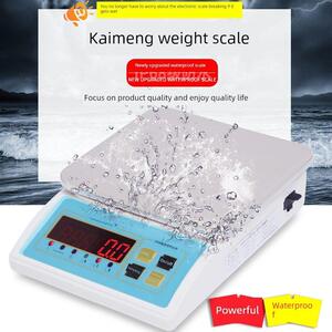 凯恒数字秤不锈钢防水秤3Kg6Kg/0.1G小型工业食品海鲜人参秤
