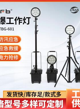 FW6101BT防爆移动工作灯防汛应急电力抢修泛光灯便携式升降防爆灯