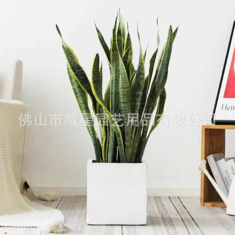 特大号塑料花盆批发正方形移动滑轮磨砂客厅盆栽树脂花盆