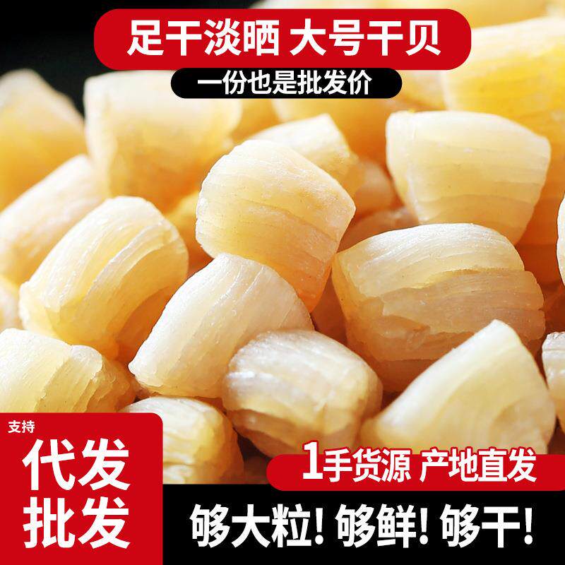 淡干大干贝北海淡晒干瑶柱干货宝宝扇贝丁元贝柱海鲜送礼干货特产