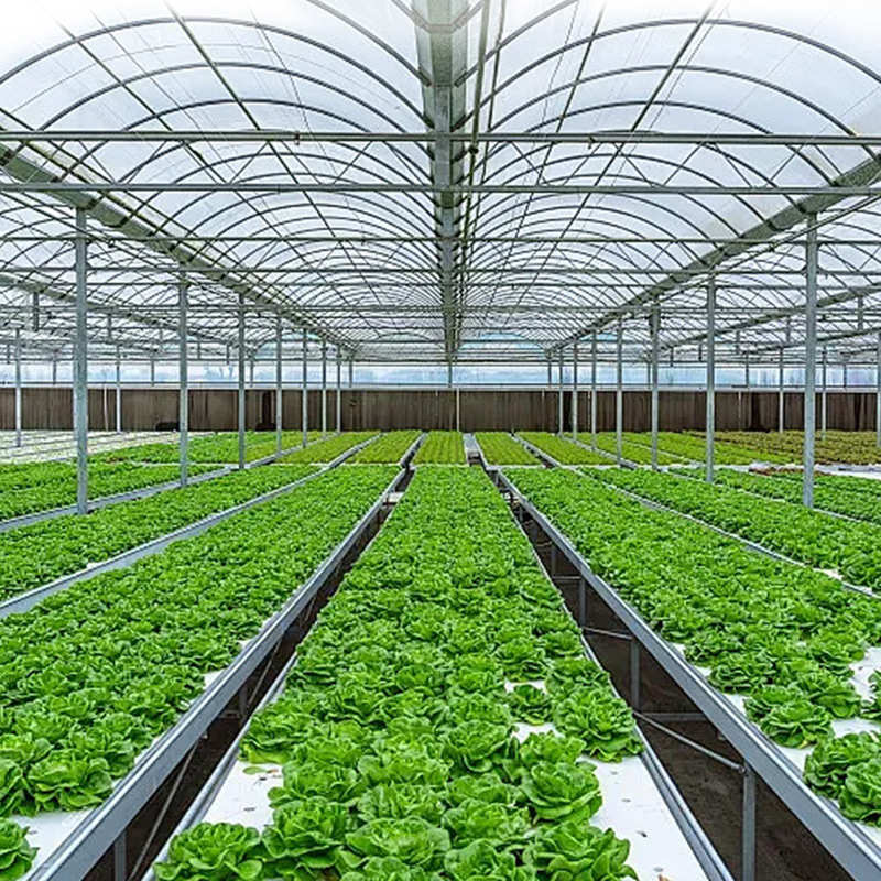 温室大棚骨架智能玻璃温室 农业花卉育苗果蔬日光果树避雨棚大棚