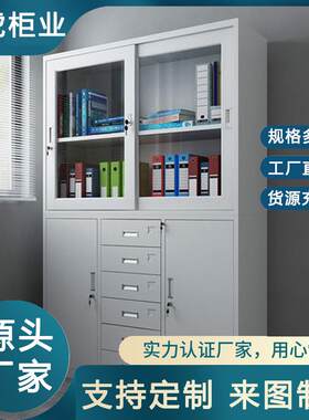 河北铁制保密文件柜不锈钢资料档案财务凭证带锁柜铁皮矮柜