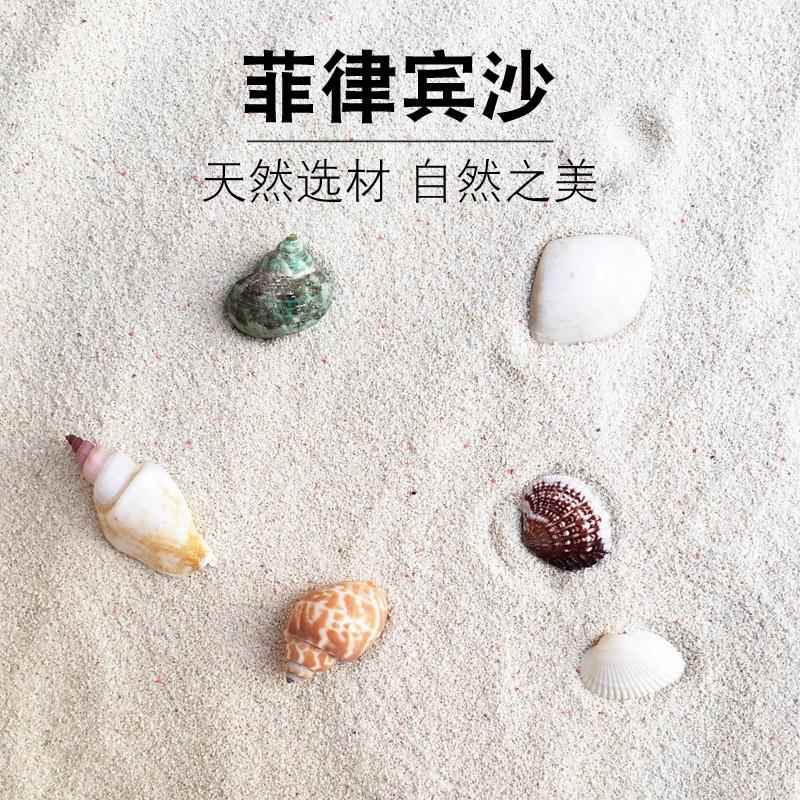 菲律宾沙珊瑚沙 寄居蟹专用沙贝壳砂免洗 海缸白细沙鱼缸天然造景