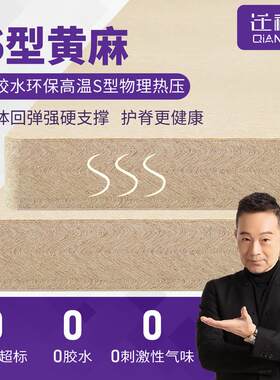 【豪华款】S型黄麻硬床垫环保护脊棕榈儿童棕垫偏硬拆洗定制折叠