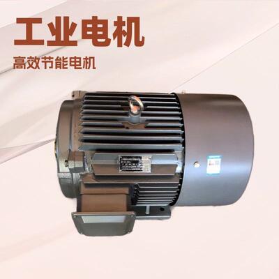 YE2YE4Y2YYE3-160M-6-7.5W6极三相电机三相异步电动机电机