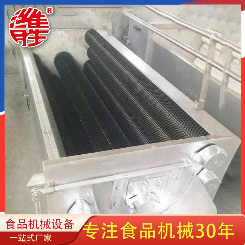 商用大型贝类清洗机设备蛤蜊去泥清洗机全自动海螺清洗机设备