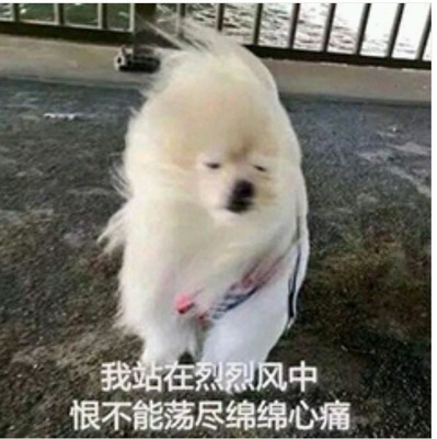 图文简述玺堡乳胶床垫怎么样,写给新手两点建议