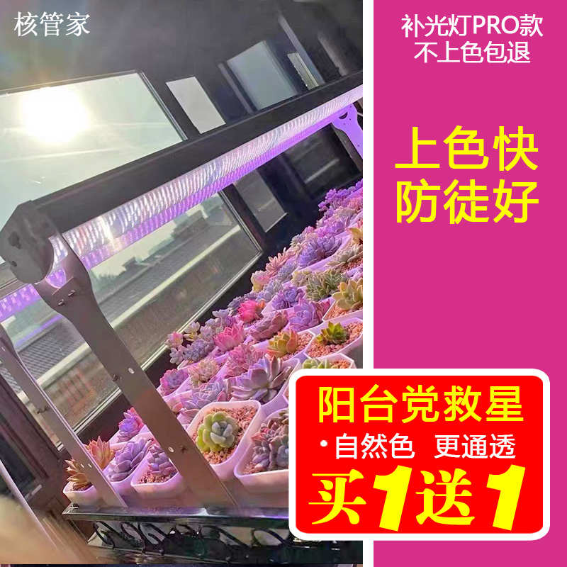 led全光谱多肉补光灯家用上色快防徒长仿太阳光花卉育苗植物生