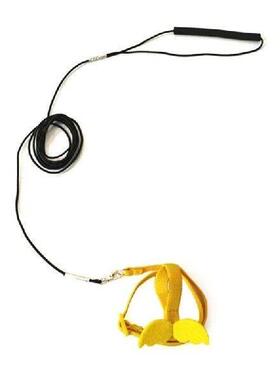 Parrot Harness Leash Flight Suit Lovely Flying Vest Birds