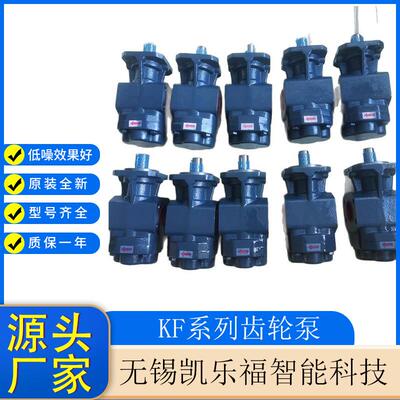 KRACHT低温油泵KF50RF31-GJS风电齿轮泵润滑泵