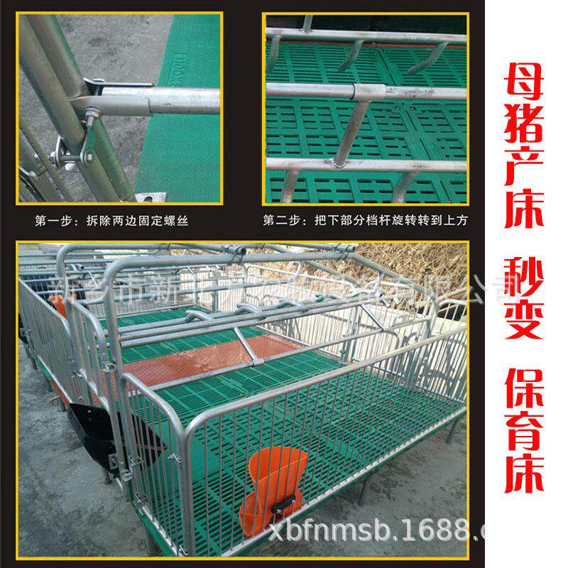 母猪产床保育床一体复合两用大猪用限位栏分娩仔猪栏