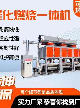 催化燃烧设备 活性炭吸附蓄热装置RCO催化燃烧设备一体机