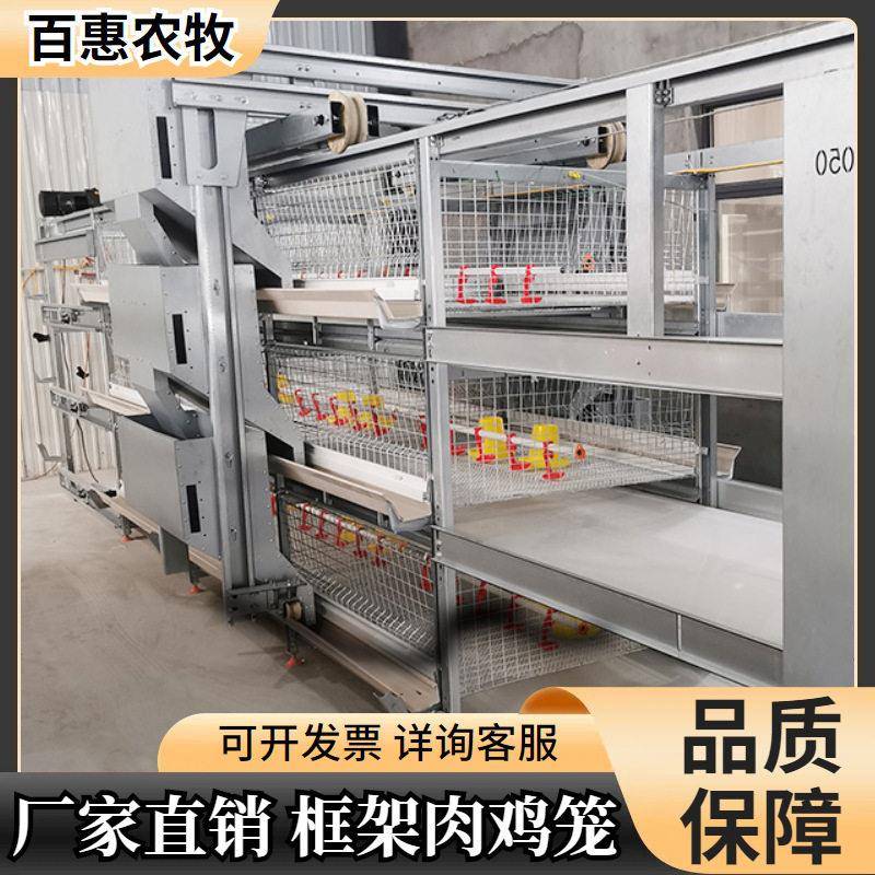 肉鸡蛋鸡框架笼层叠式养鸡设备加密加粗自动清粪设备