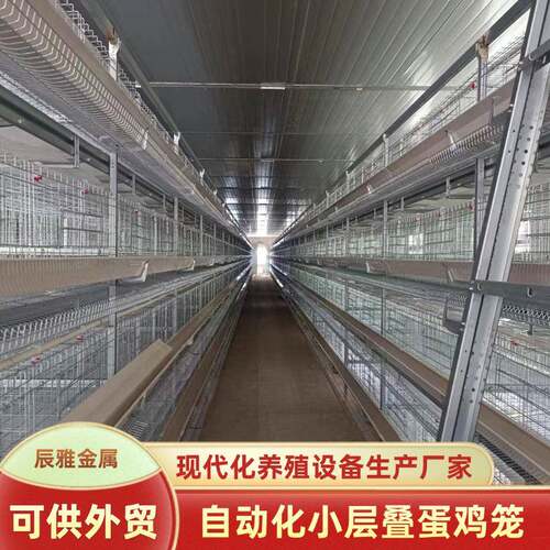 立式蛋鸡笼农场养鸡用自动集蛋清粪供水喂料畜牧机械设备蛋鸡笼