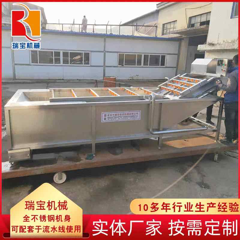 大头菜气泡翻浪清洗机不锈钢果蔬清洗机毛豆清洗机器