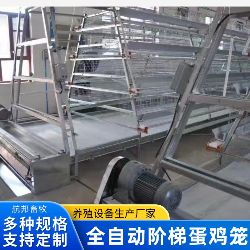 全自动阶梯蛋鸡笼养殖设备厂家定制背负式喂料机捡蛋机养殖设备