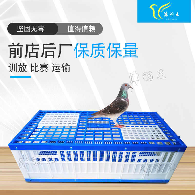 津羽王塑料训放笼塑料折叠放飞笼运输笼集训笼鸽子用品用具鸽具