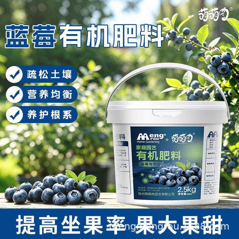 蓝莓专用有机硫酸钾复合蓝莓树果苗盆栽酸性缓释改善黄叶