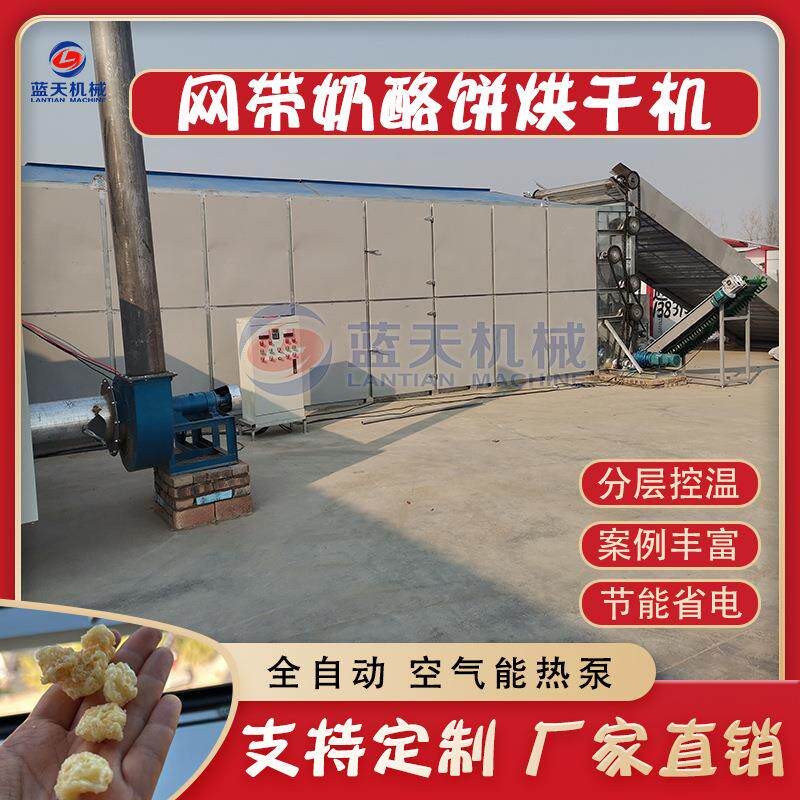 网带奶酪饼烘干机全自动奶渣奶球奶块蒸汽式干燥机奶疙瘩哄干机