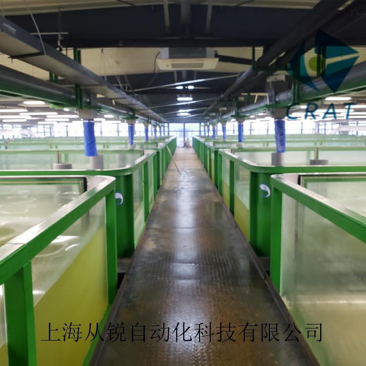 上海从锐新型工厂化室内立体循环水养殖罗氏沼虾/青虾系统设备