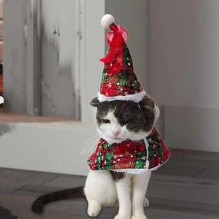 2 Pieces Dog Cat Cape with Hat Cute Kitten Clothes for Cats