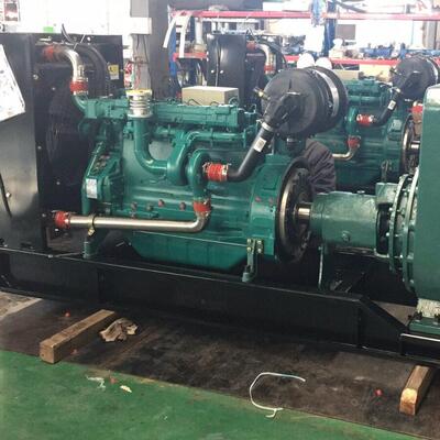 WEICHAI 潍柴200千瓦WP10D264E200发电机组山东潍柴200千瓦发电机