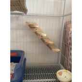 猫笼配件与剑麻爪磨猫楼梯实木猫屋楼梯猫跳跃平台吊笼猫窝猫爬架