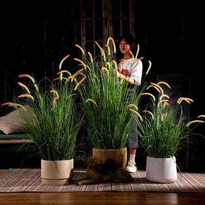 仿真绿植狗尾草假苇芦草树假花盆栽室内GWBPC-66摆件仿生植物装蒲